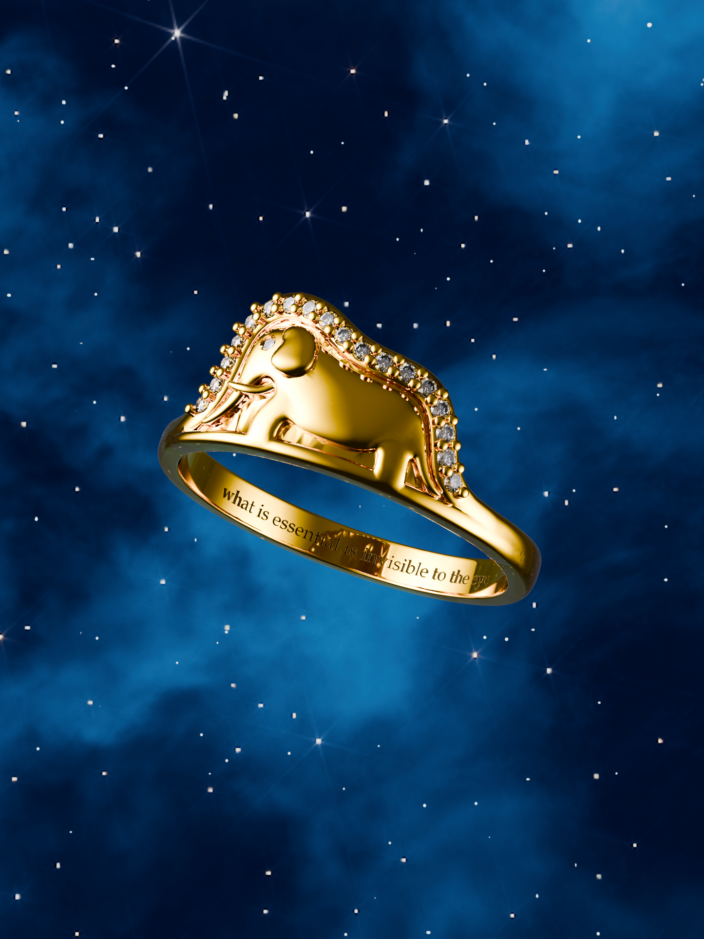 The Elephant in the Hat Ring