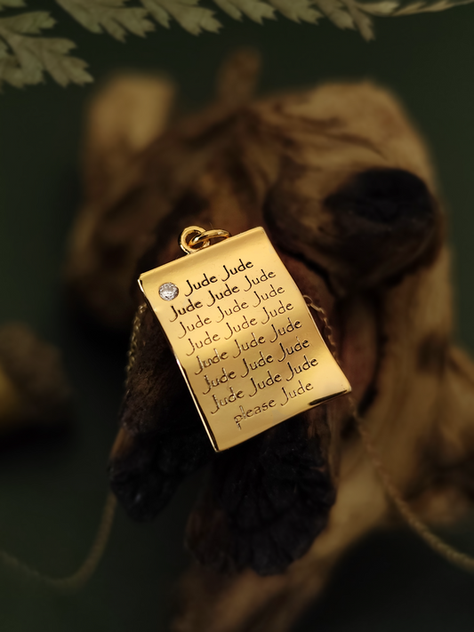 Cardan's Letter to Jude Necklace