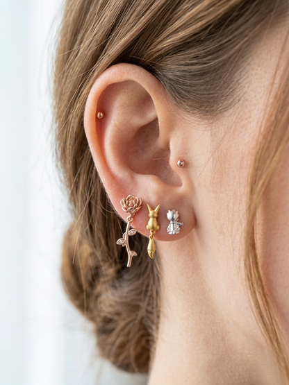 The Little Prince Earrings Set