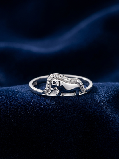 The Elephant in the Hat Ring